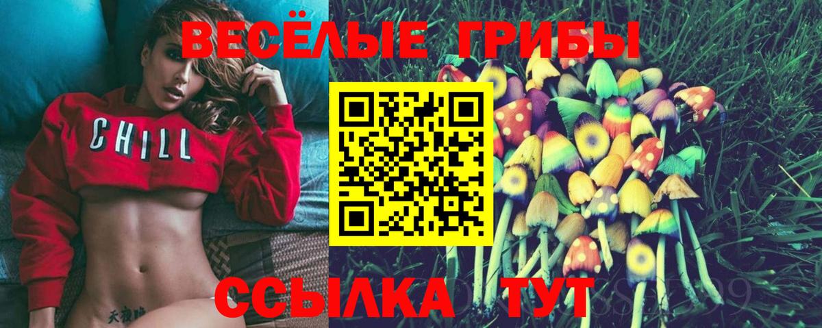 Галлюциногенные грибы GOLDEN TEACHER Ивантеевка
